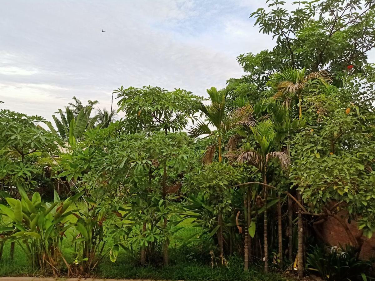 Filia D'Angkor Boutique Villa Siem Reap Exteriér fotografie